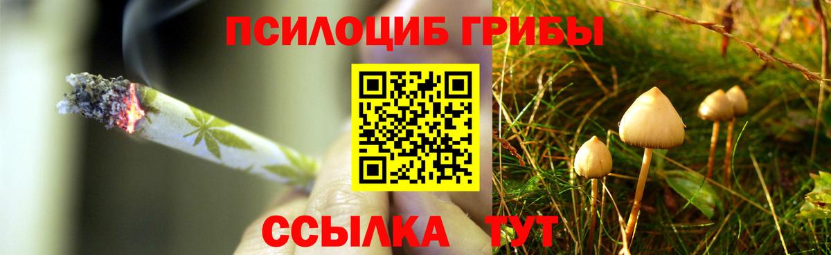 Галлюциногенные грибы Magic Shrooms  Вход с VPN  Верхняя Салда  Галлюциногенные грибы Magic Shrooms 